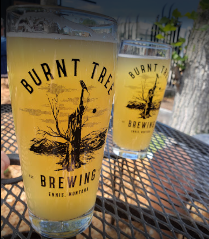 Burnt Tree Brewing glasses from the existing portfolio